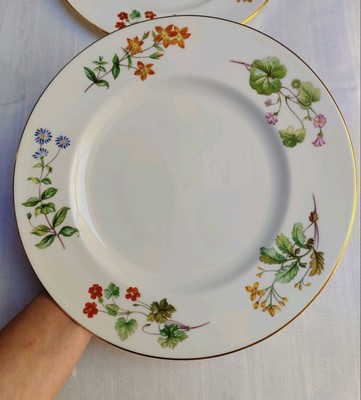 Minton Meadow Speiseteller D 27 cm (T2)