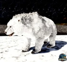 🦖ARK Survival Ascended Polar Bear Top Stats PVE PS5/XBOX/PC