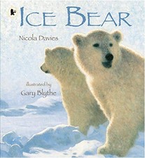 Ice Bear: 1 by Davies, Nicola Book The Cheap Fast Free Post