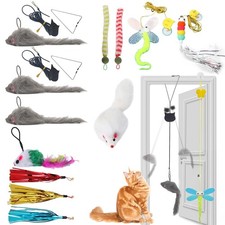 11 PCS Interactive Cat Toy for Indoor Cats, Kitten Toys with 4 Hanging Door Cat