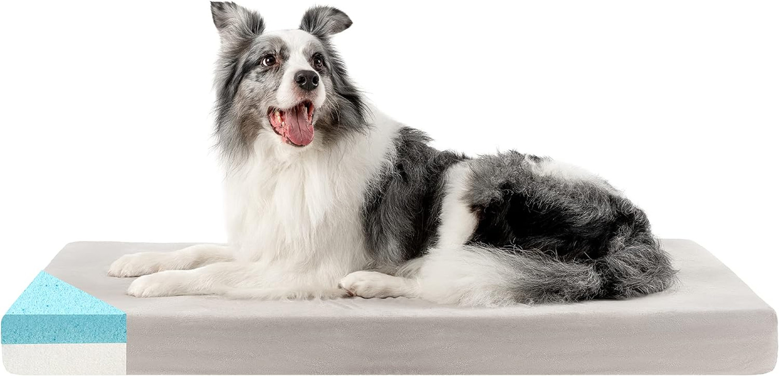 Letto Cani XL Ortopedico: Un Abbraccio per le sue Articolazioni