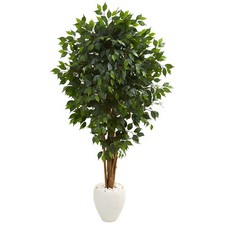 Ficus faux Tree In White Planter Realistic Natural 6  Decor