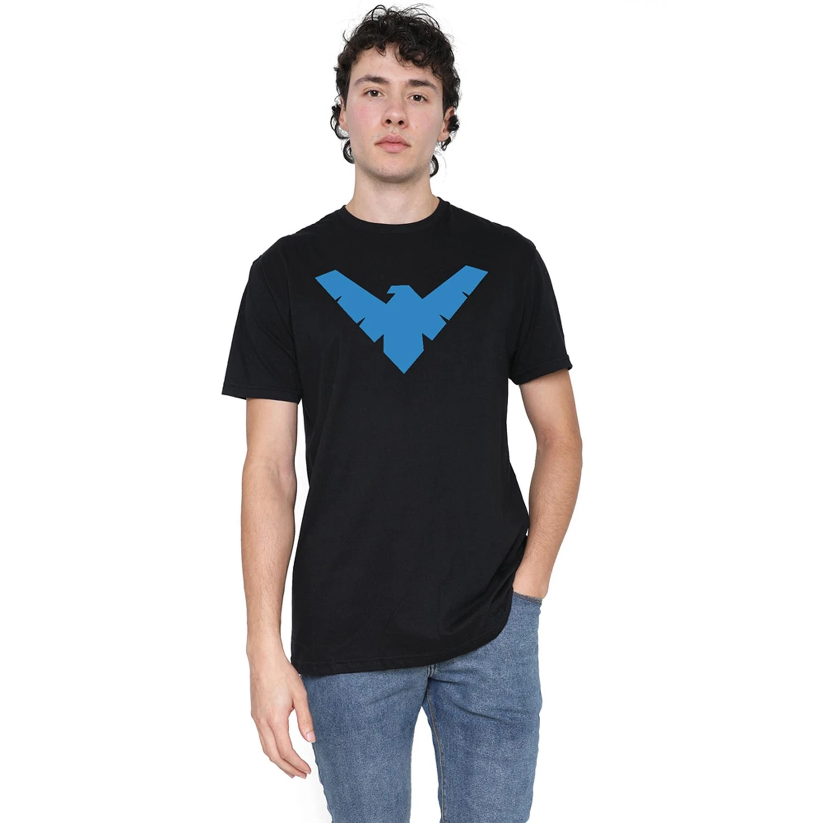 DC Comics Mens T-Shirt Nightwing Hero Logo Top Tee S-2XL Official
Opens in a new window or tab