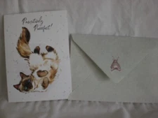 Hopper Studios - Birthday - A Beautiful Cat on cover