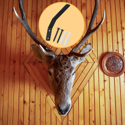 #ad #ad 6 Pcs European Mount Skull Hanger Large Euro Deer Skull Hangers European Moun... $28.03