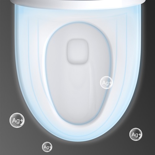 HOROW Toilet Heated Seat Smart Tankless Elongated One Piece Toilet Auto Flush - Picture 9 of 14