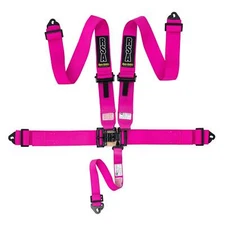 RSA 3 Inch 5-Point NASCAR Style Brisca Oval Autograss Safety Harness - Pink