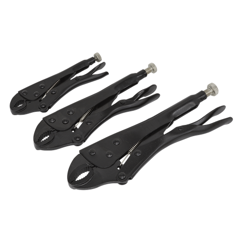 BGS technic Modulo per carrelli portautensili 1/3: pinze per pompe