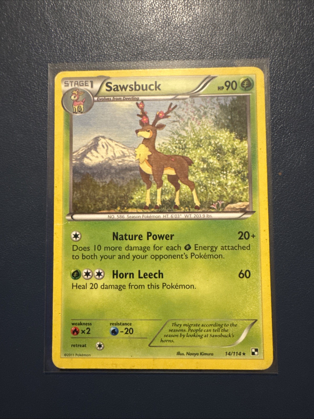 Sawsbuck 14/114 Black & White Regular Rare LP Pokemon TCG