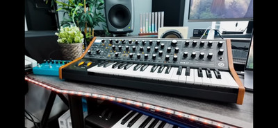 MOOG Sub 37 - Top Zustand, nur im Studio eingesetzt