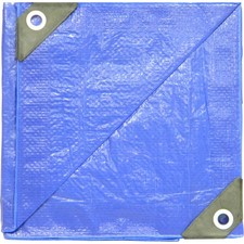 Dize Blue Poly Tarp, 50ft. x 100ft., Model PT50100
