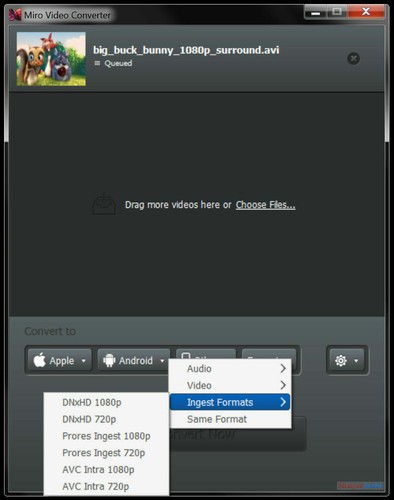 NEW & Fast Ship! Miro Video Converter / Copier to Smartphone & Tablet - Windows - Picture 11 of 12