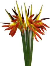 8 PCS Artificial Bird of Paradise Flowers 21.5" Orange Stems for Home Garden