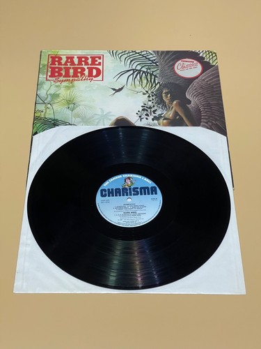 Disco Vinile 33 giri Lp Rare Bird - Sympathy 1970 Charisma Originale + Fodera - Foto 8 di 9