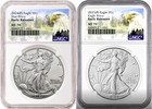 2 coin set 2024 and 2025 p silver eagle with privy ngc ms70 er mtn presale