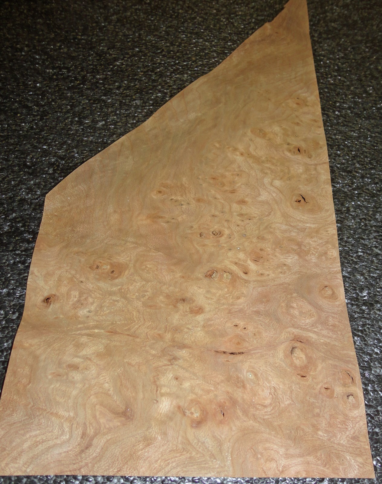Carpathian elm burl wood veneer 6 base x 12 x 9 x 5 raw no