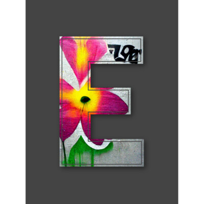 Letter E Abstract Flower Grey Decorative Graffiti Initial Canvas Wall Art Poster