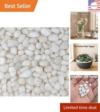 White Pebbles for Plants  Floral Arrangement - 2lb Bag of 3/8" Stones
