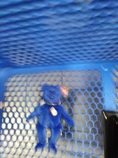 Ty Beanie Buddy Peanut the bear  - Royal Blue