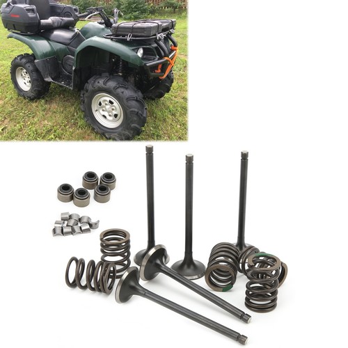 Cylinder Head Intake Exhaust Valve Kit Fit For GRIZZLY 660 YFM660F 4WD 2002‑2008 - Picture 2 of 22