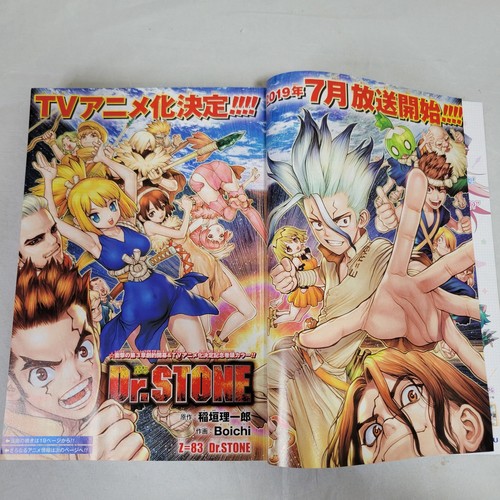 Weekly Shonen Jump 2018 No.51 Dr.STONE front color page Japanese - Picture 4 of 11