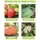 100 Pcs Plant Support Clips Fixed Forks Greenhouse Vine Support Clamps