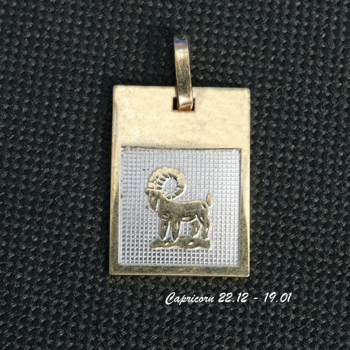 12 Horóscopo Astrología Carta del Zodiaco Signo de Nacimiento Plata, Colgante Enchapado en Oro Regalo - Imagen 22 de 24