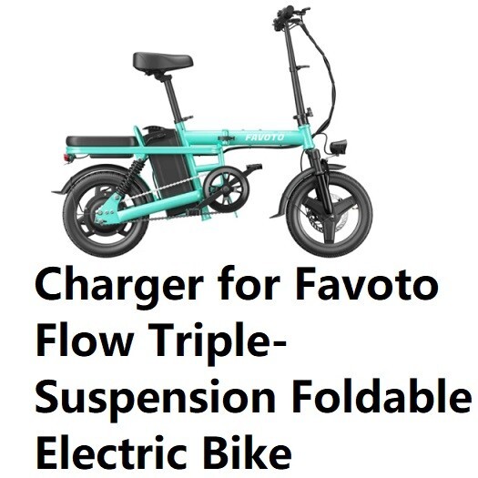 🔥fast 3A battery Charger for Favoto Flow Triple-Suspension