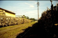 DIA Sugar Cane Loading Field Railway in Indonesia Estate B. Amende M-W1-34