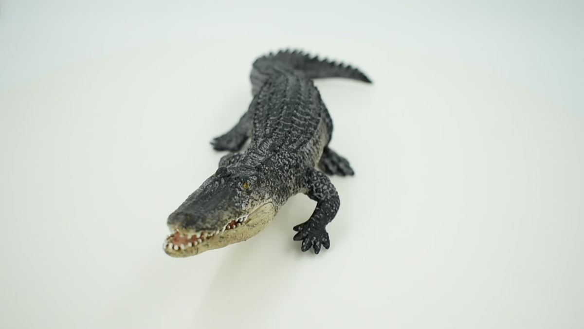 Alligator Realistic Hand Painted Figure Model Figurine Replica Toy