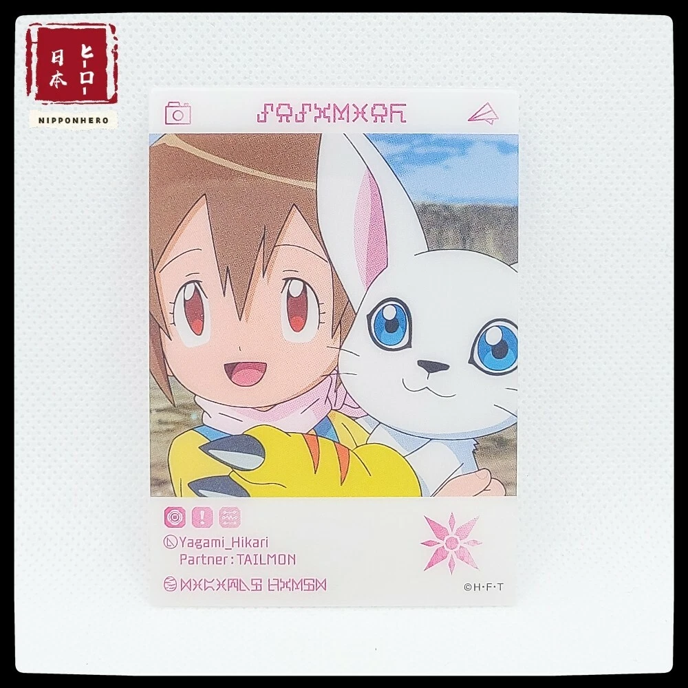 Hikari y Gatomon  Digimon adventure tri, Digimon adventure, Digimon  digital monsters