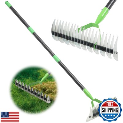 Thatch Rake, 69 Inch Lawn Thatching Rake for Cleaning Dead Grass, 13 Inch Wid
