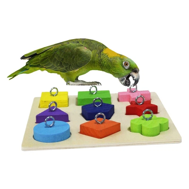 Toy parakeet outlet