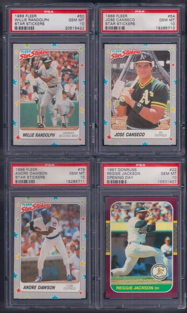 PSA 10 1988 Fleer Star Stickers #79 Andre Dawson Chicago PSA 10 1988 Fleer Star Stickers #79 Andre Dawson Chicago