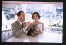 Audrey Hepburn Mel Ferrer with Yorkshire Terrier Photo Agency 35mm Transparency