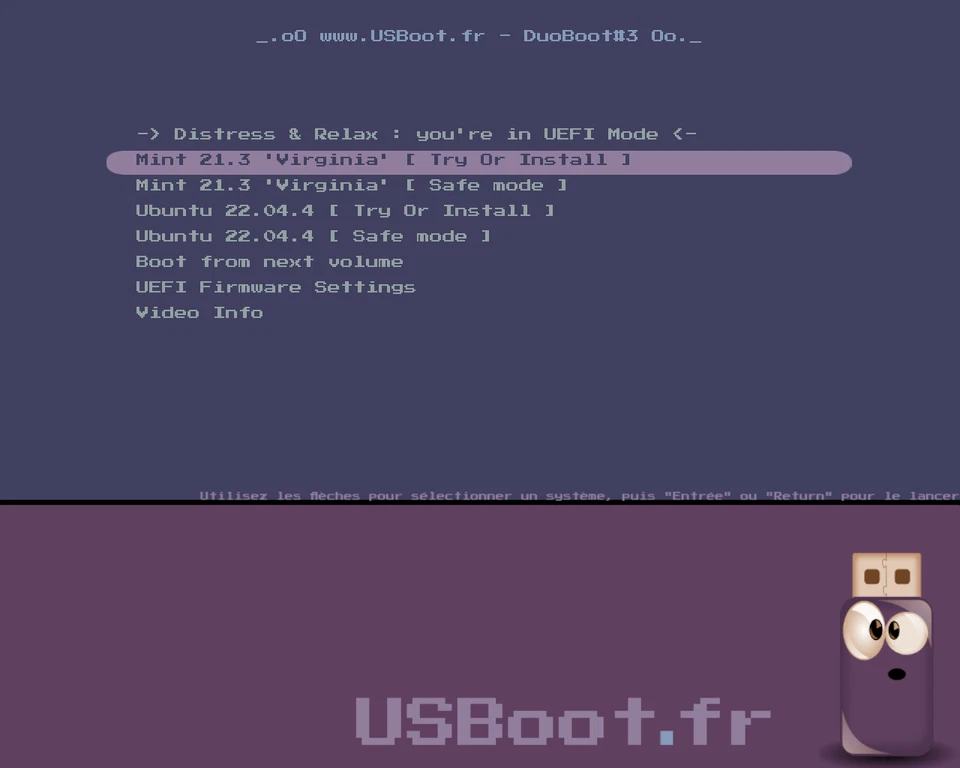 CLÉ USB LINUX UBUNTU 22.04.4 JAMMY-JELLYFISH + MINT 21.3 VIRGINIA BOOTABLE STICK - Photo 3/4