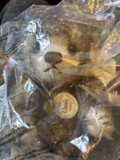 New In Bag Teddy Bear Steiff Classic 1926 Bear 22cm 006418 Button  F