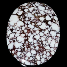 487 Carat. Wild Horse Gemstone Cabochon: Natural South African Stone 58x77x10 mm