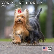 Yorkshire Terrier Calendar 2026 - Dog Breed Wall Calendar - Made in the USA!