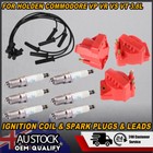 <!--F#f_0-->3x Ignition Coil Spark Plugs 6x Leads Pack For Holden Commodore VP VR VS VT 3.8L<!--F/-->