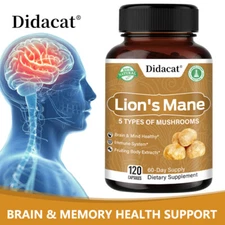 Lion's Mane 5 Types Of Mushroom Supplement Brain & Mind Health,Immune Support