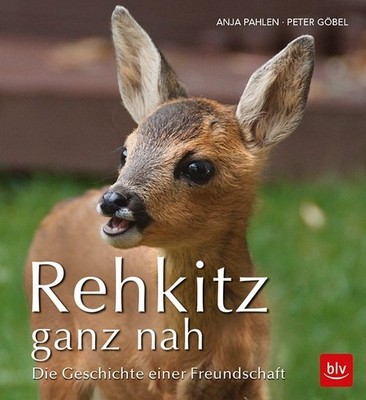 Rehkitz ganz nah | Anja Pahlen, Peter Göbel | deutsch