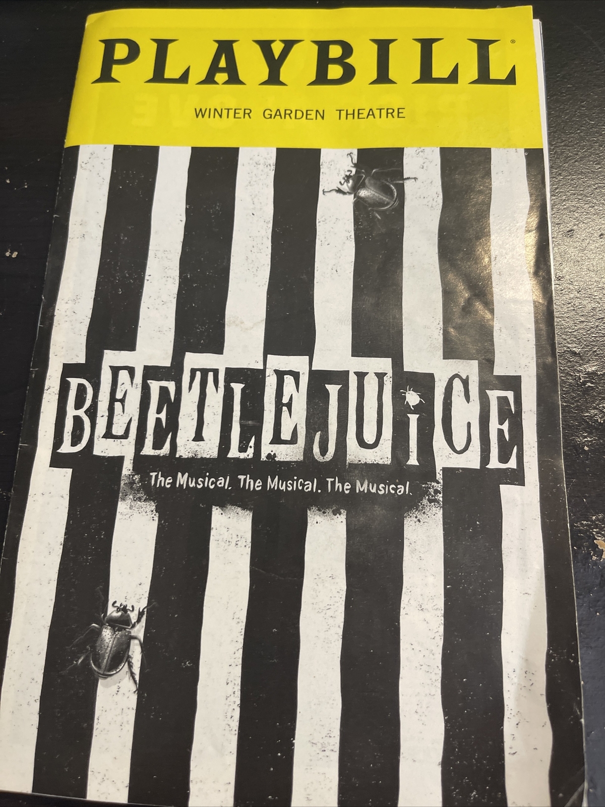 Beetlejuice the Musical Original Broadway Playbill
