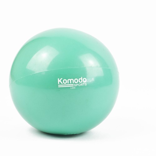 Weighted TONING BALLS 0.5kg-1.5kg Pair Yoga Pilates Rehab Exercise Class Weight - Picture 10 of 22