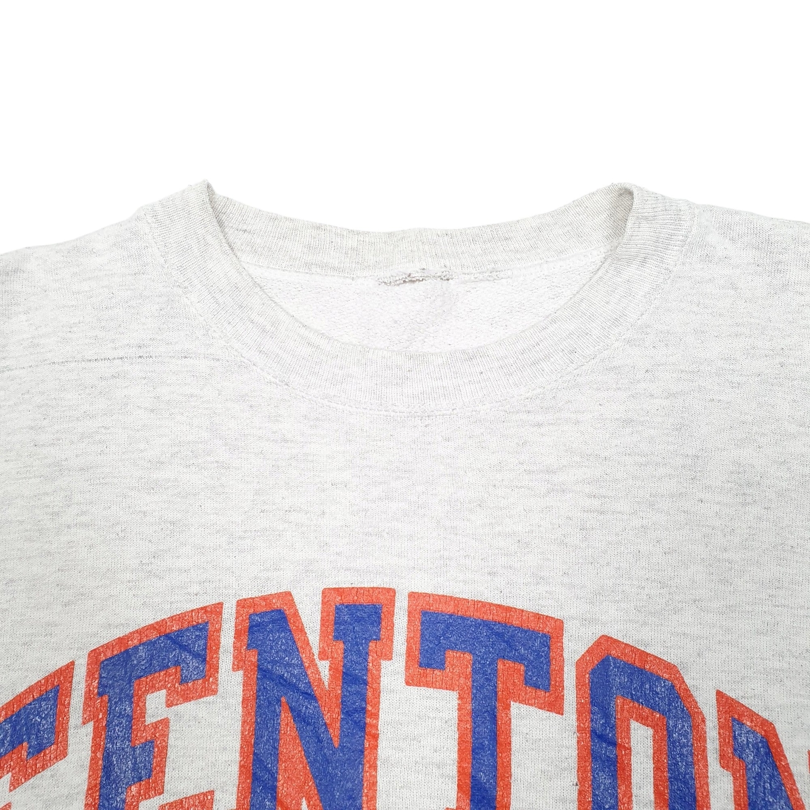 CHAMPION Crewneck Vintage Fenton Bison Sweat Jumper Sweatshirt Mens M image 2