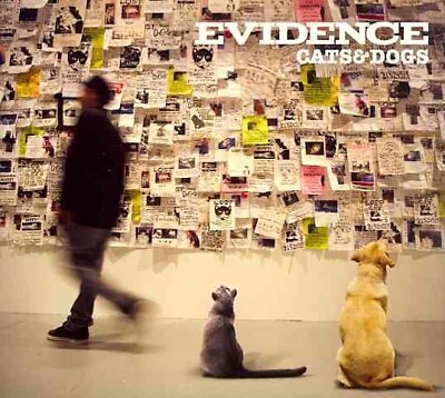 Cats & Dogs, New Music