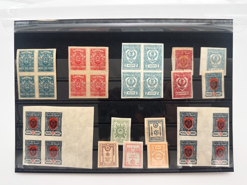 Francobolli 1921 RSFSR Guerra Civile Vintage Set 5 Quarti Blocchi + 9 pz MH - Foto 2 di 12
