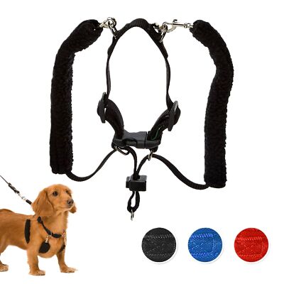 トップス SIIILON Dear DOG trainer SIIILON Dear DOG trainer