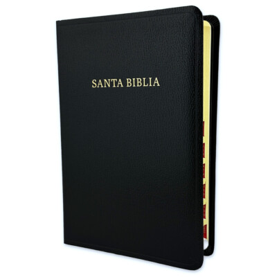 Biblia Letra Grande 12 puntos RV1960 imit. piel negro con indice