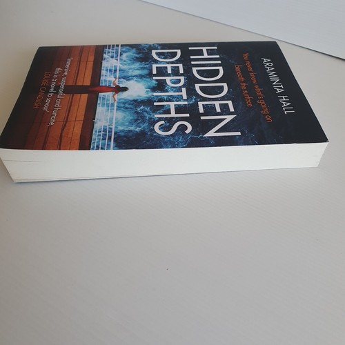 Hidden Depths Araminta Hall Suspense Thriller Secrets Lies Titanic - Picture 5 of 13